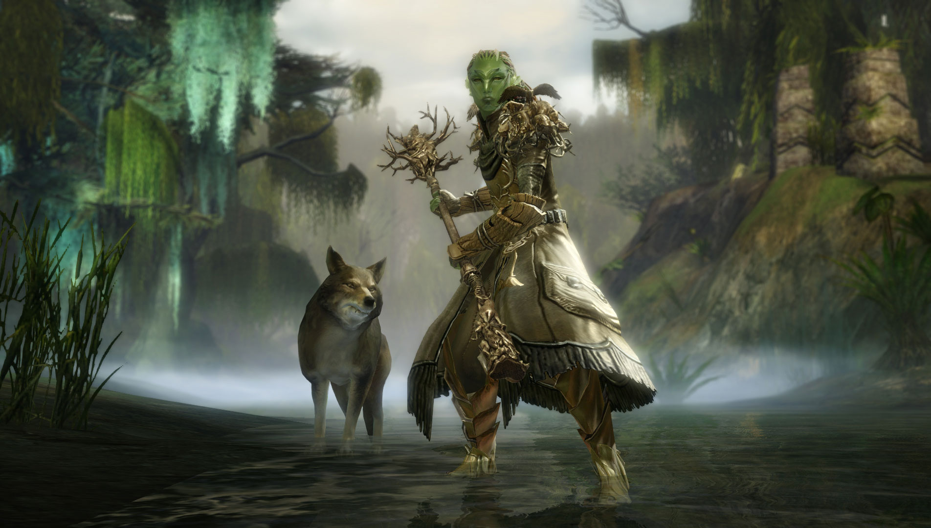 Meet the Druid: Ranger’s Elite Specialization | GuildWars2.com