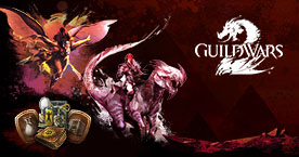 Dévoilez votre histoire avec le nouveau pack découverte